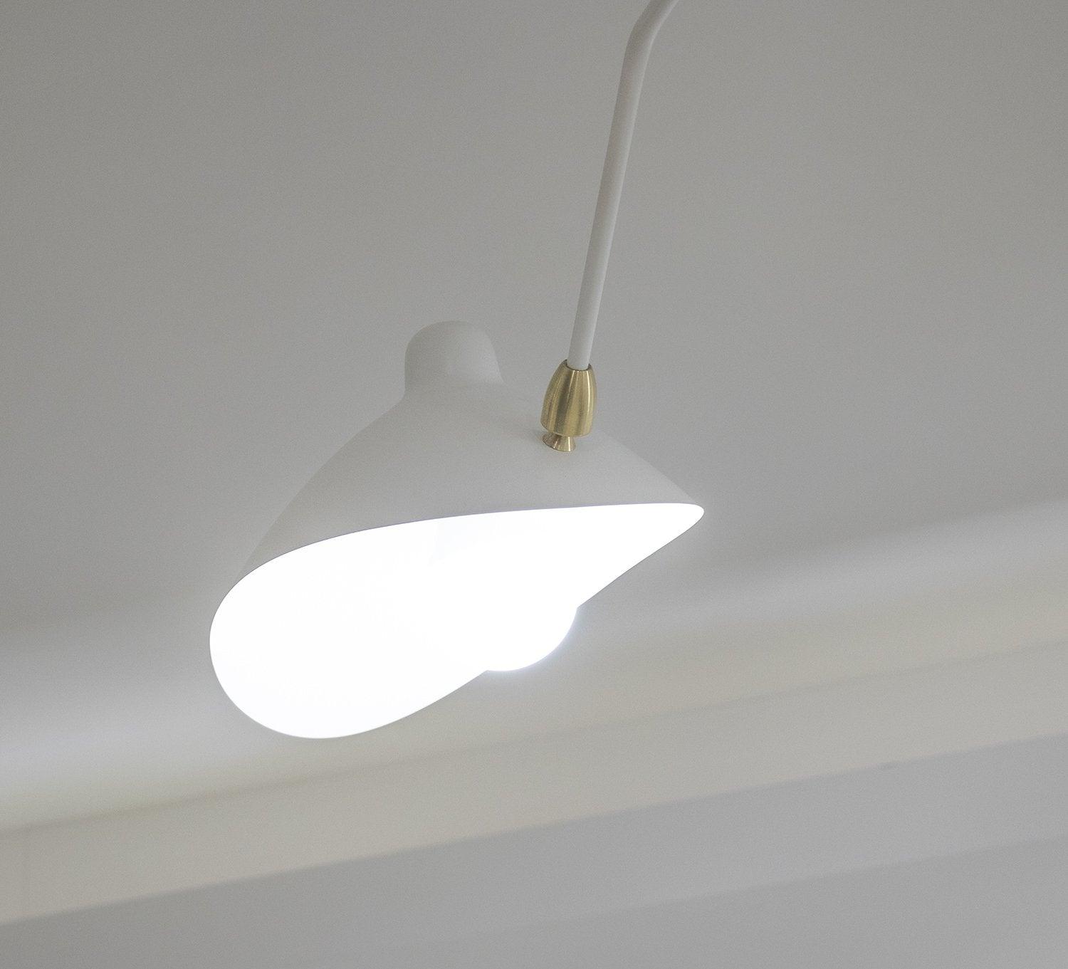 Thoreau Feldko Ceiling Light A