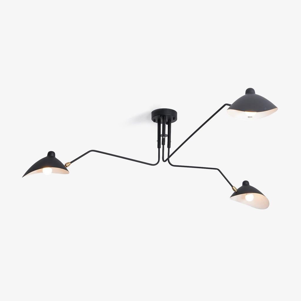 Thoreau Feldko Ceiling Light A
